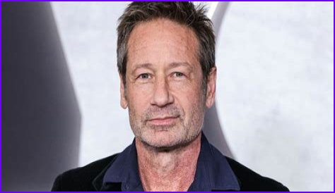 Unveiling The Enigmatic World Of David Duchovny's Son: A Journey Of Discovery